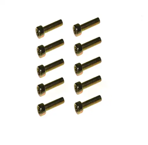 KIT PARAFUSO TORX 6X25 - 10 UND
